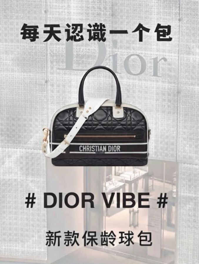 迪奧/Dior 黑白拼色藤格金扣寬肩帶保齡球 尺寸:35*21*16-0