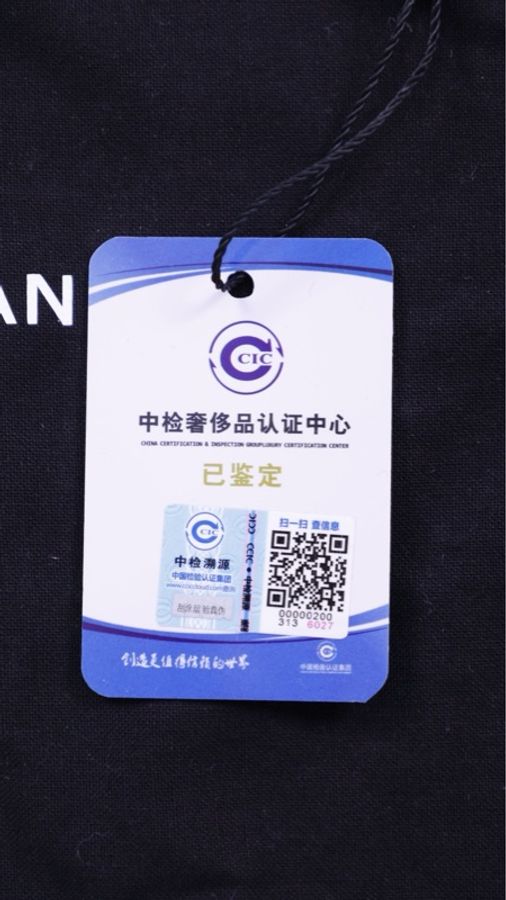 Chanel 21A女士城堡系列秀款红金衣架mini单肩包-11