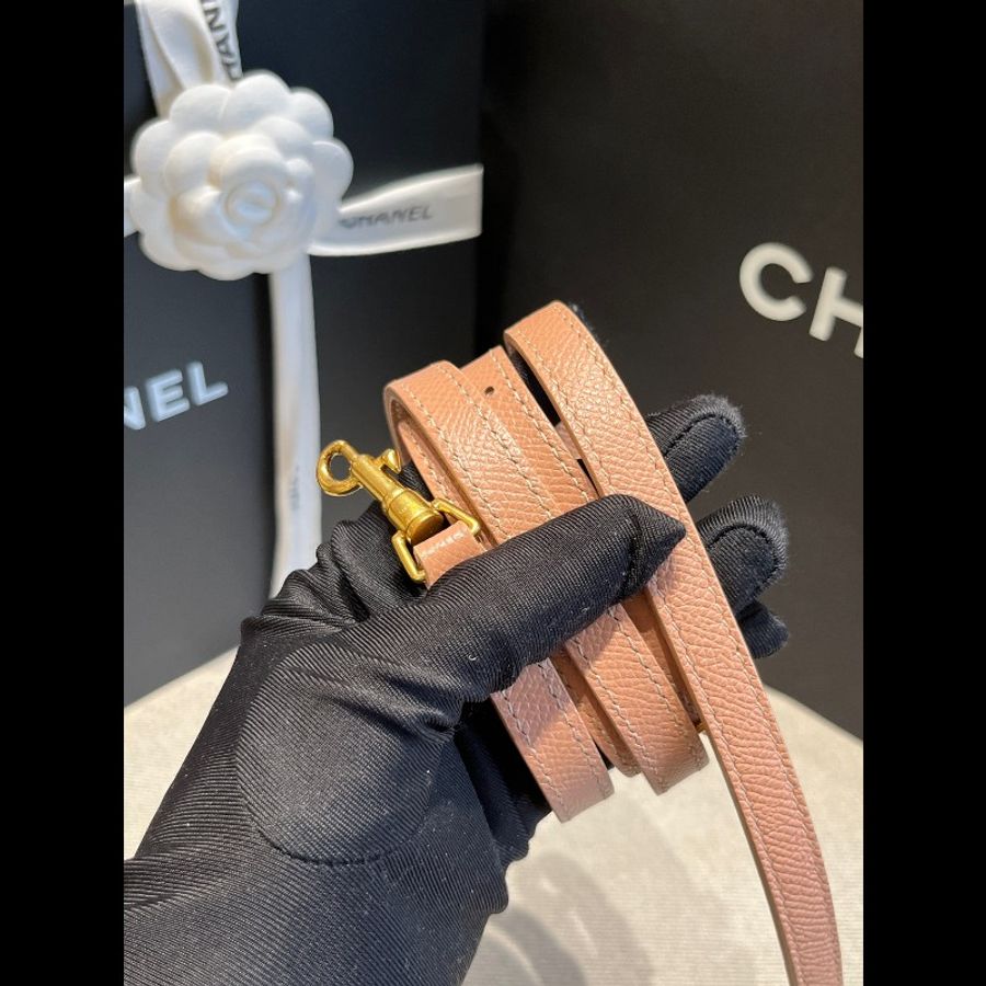 Celine 龍蝦粉mini pico鲶魚單肩包-4