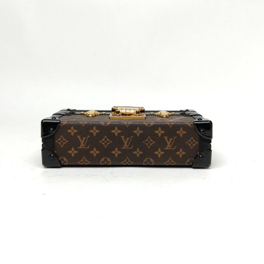 LOUIS VUITTON PETITEMALLE月光寶盒老花PVC2018肩背包-4