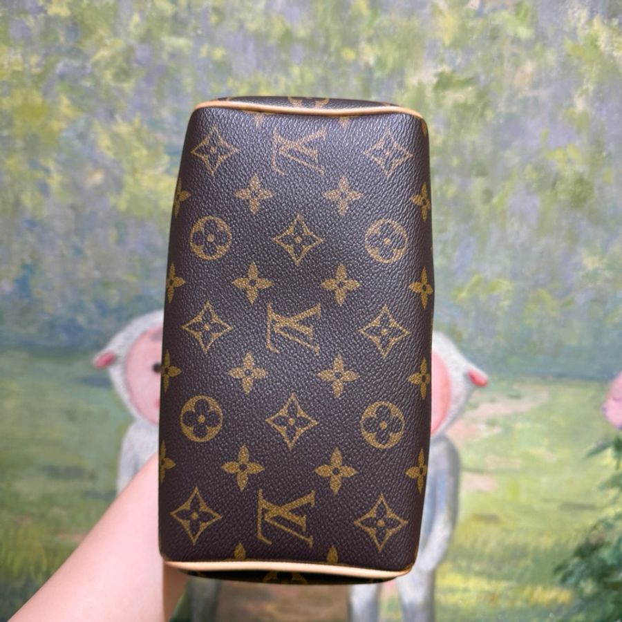 99新.LouisVuitton 路易威登 speedy20 枕頭包 芯片款-4