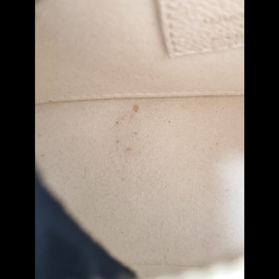 LV Epi Marellini-26