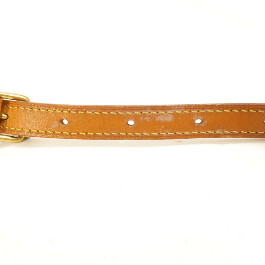 LOUIS VUITTON Monogram Blois金扣肩背袋棕色-15