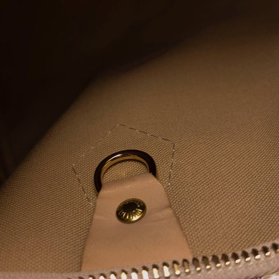 Louis Vuitton (LV) Speedy25植鞣革棋盤格波士頓包手提包-10