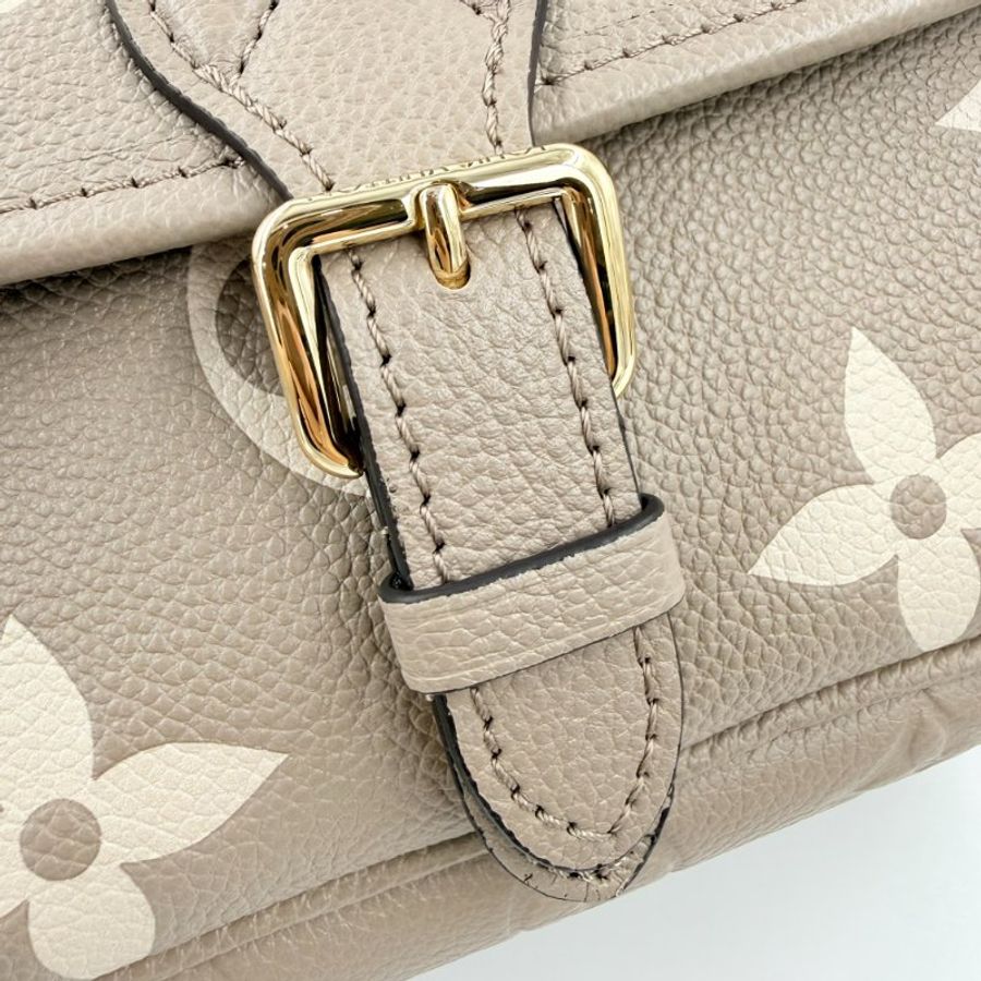 Louis Vuitton - 斑鳩灰牛皮壓紋Diane金釦手提肩背包-17