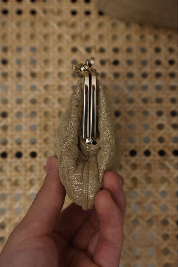 Dior迪奥金色细闪baby蛙口包子母包手提包-15
