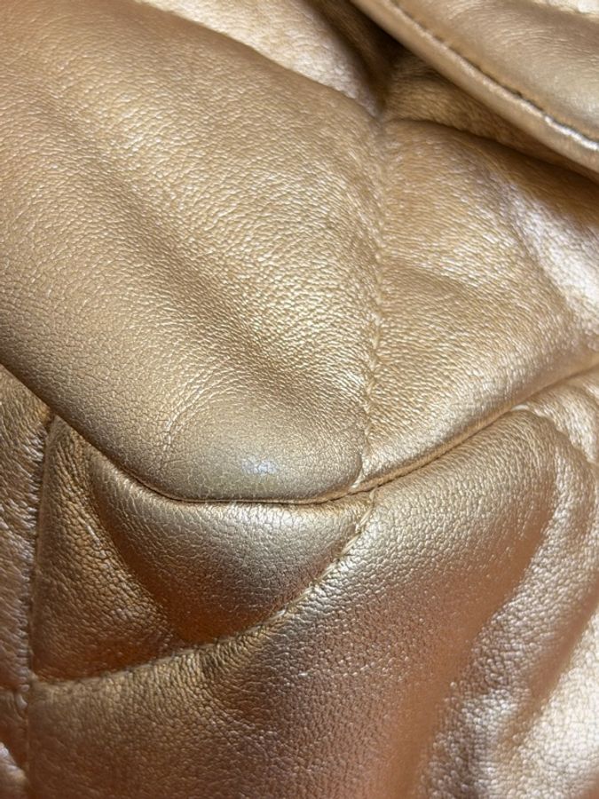 CHANEL 19 Bag 中號 貴婦金✨31開-7