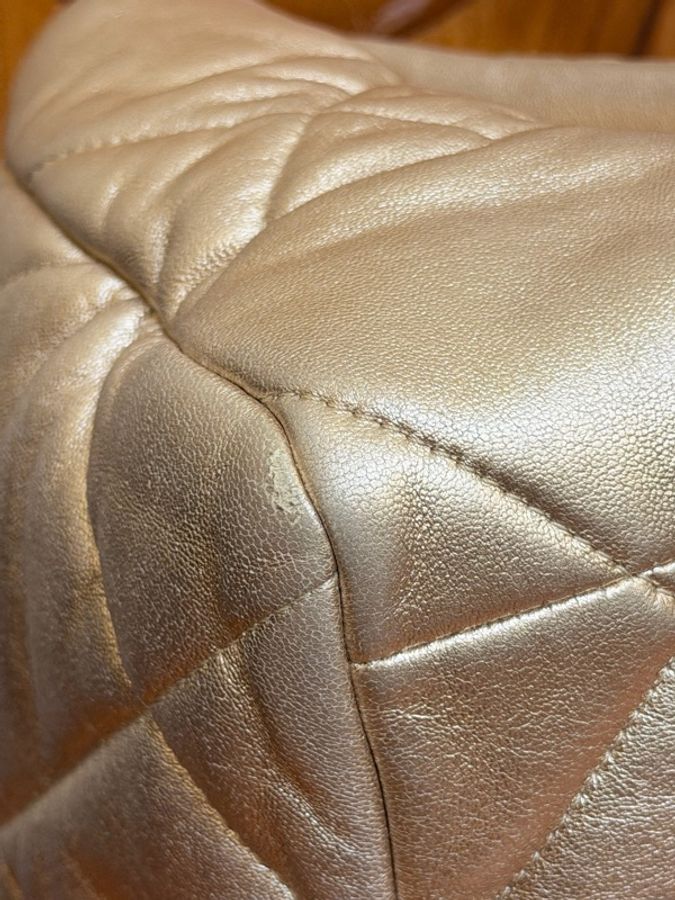 CHANEL 19 Bag 中號 貴婦金✨31開-9