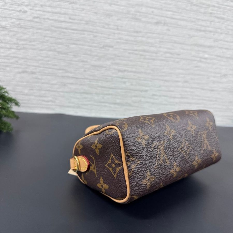 LV 經典老花 speedy nano-8