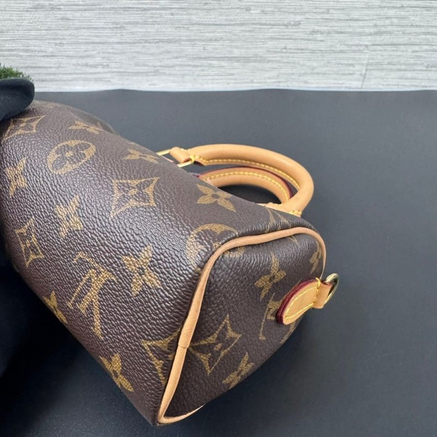 LV 經典老花 speedy nano-11