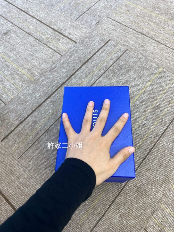 Hermes ST. louis 2026年購入99新閒置 mini 松果、栗子燈/金色-8