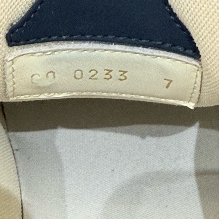 Lv 路易威登/Louis Vuitton Skate 皮革 圓頭系帶 低幫 時尚板鞋 男女同款 藍白 尺碼:7碼41碼-4