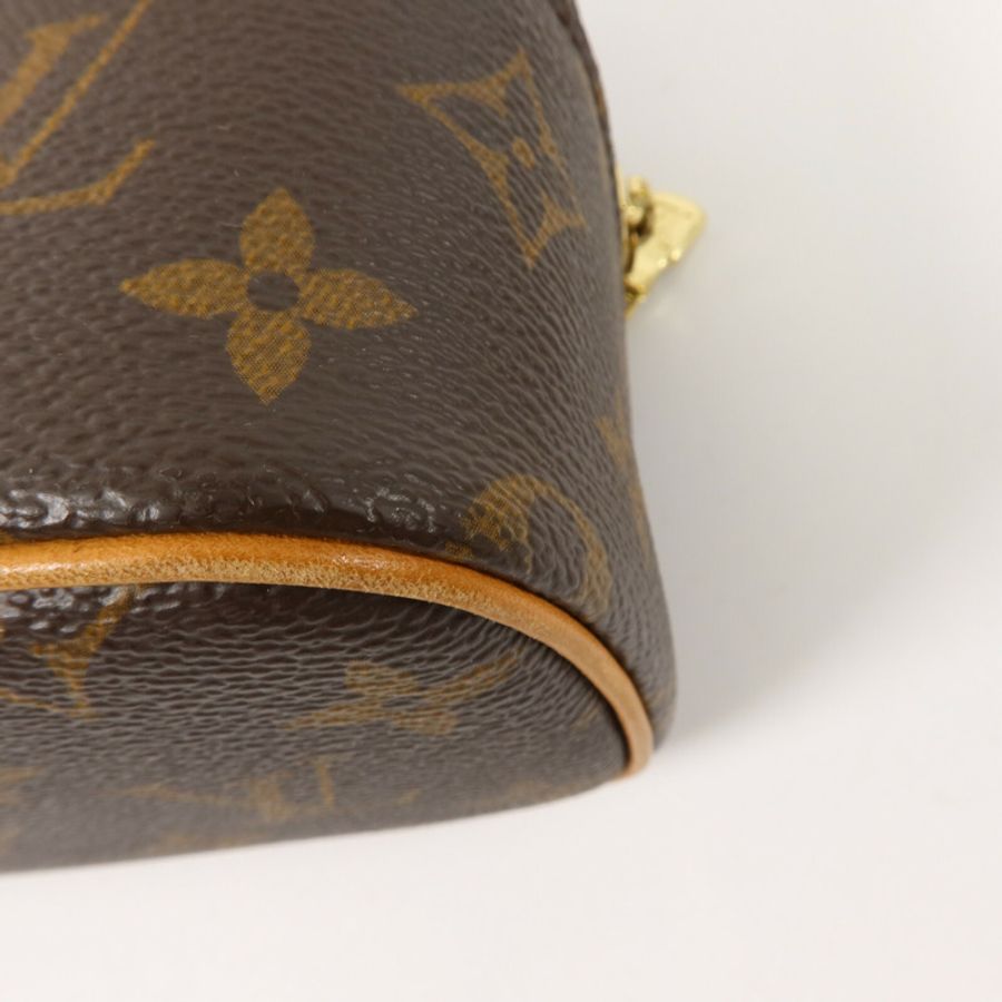 LOUIS VUITTON Monogram Nice Nano化妝袋-9