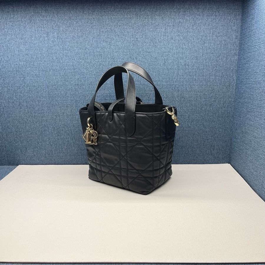 迪奧Dior Toujours土著竪版手拎單肩斜挎包99新-2