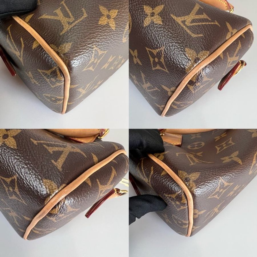 LV M61252 SPEEDY NANO 肩背包-12