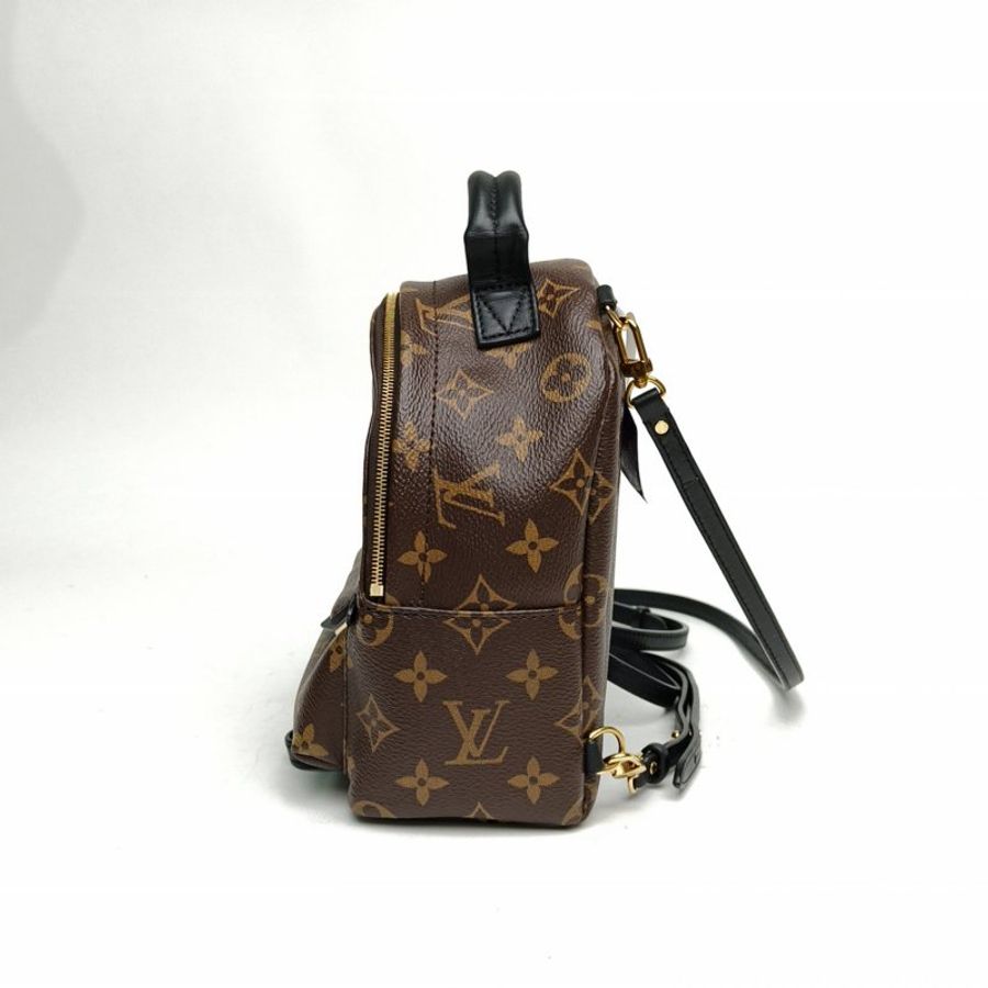 LOUIS VUITTON PalmSprings小書包Mini新款拉鏈外露PVC晶片肩背包-1