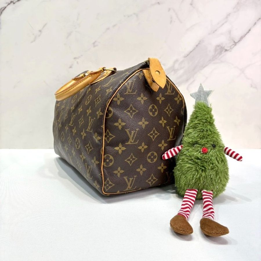 LV Speedy 30手提波士頓包-2