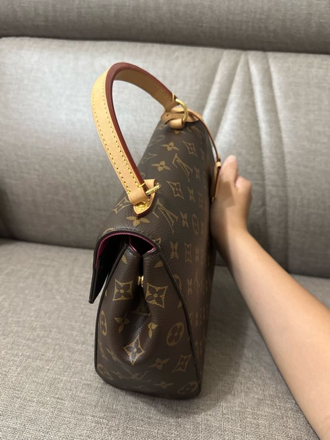 Louis Vuitton Monogram Canvas and Leather Cluny BB Bag-3