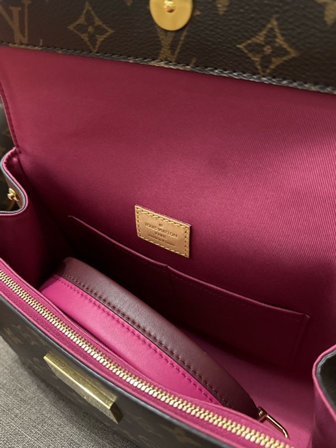 Louis Vuitton Monogram Canvas and Leather Cluny BB Bag-5