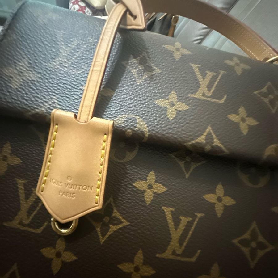 Louis Vuitton Monogram Canvas and Leather Cluny BB Bag-11