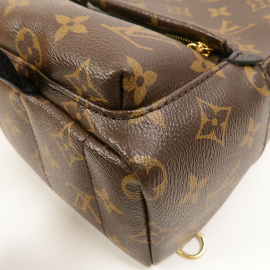 LOUIS VUITTON Monogram Palm Springs Mini背包-5