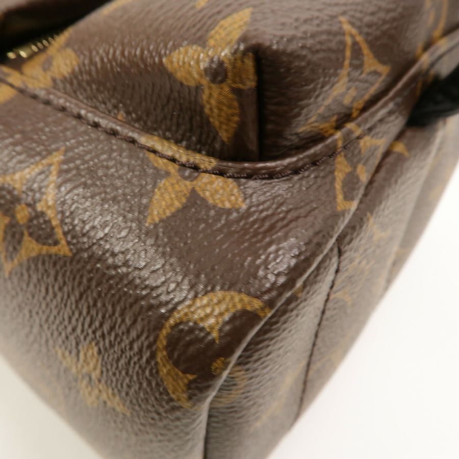 LOUIS VUITTON Monogram Palm Springs Mini背包-6