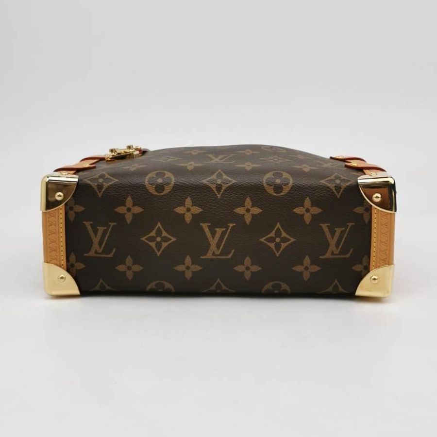 Louis Vuitton (LV) Side Trunk中型棕色植鞣革老花斜背包肩肩包晶片款-5