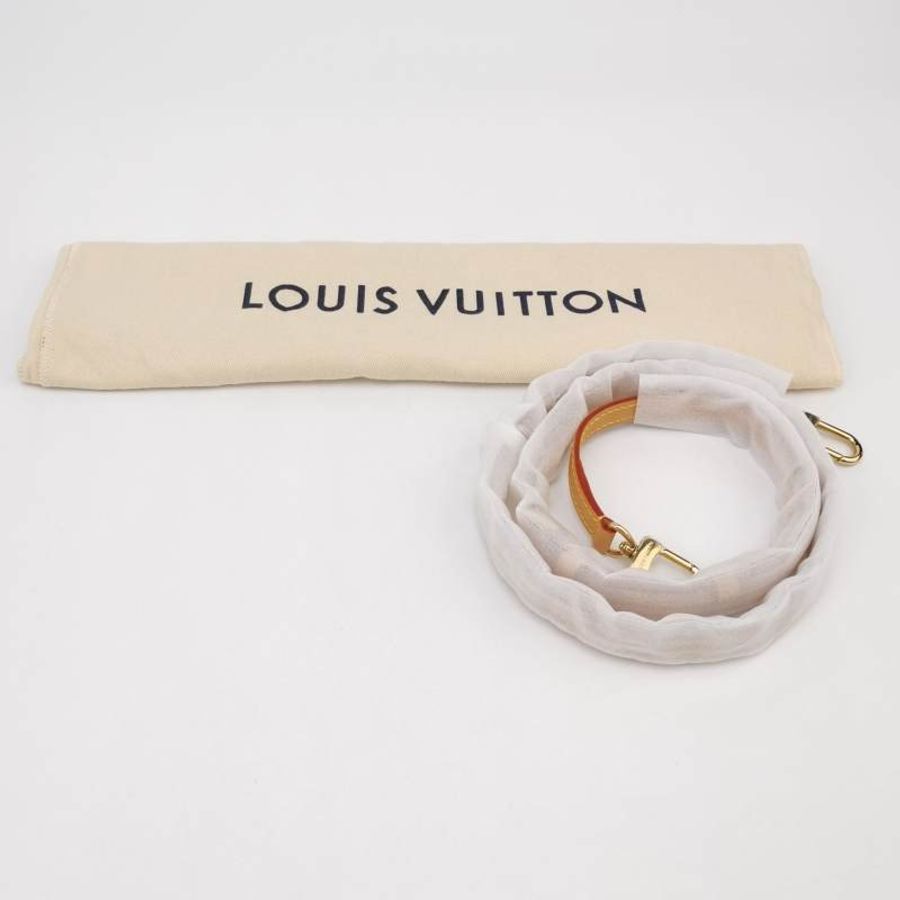 Louis Vuitton (LV) Side Trunk中型棕色植鞣革老花斜背包肩肩包晶片款-8