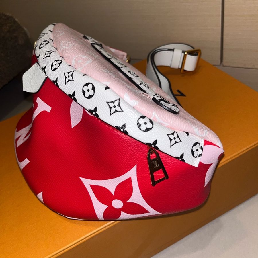 2019 年超限量 Giant Monogram 拼色款（M44575），目前專櫃早已絕版，撞包率極低！-5