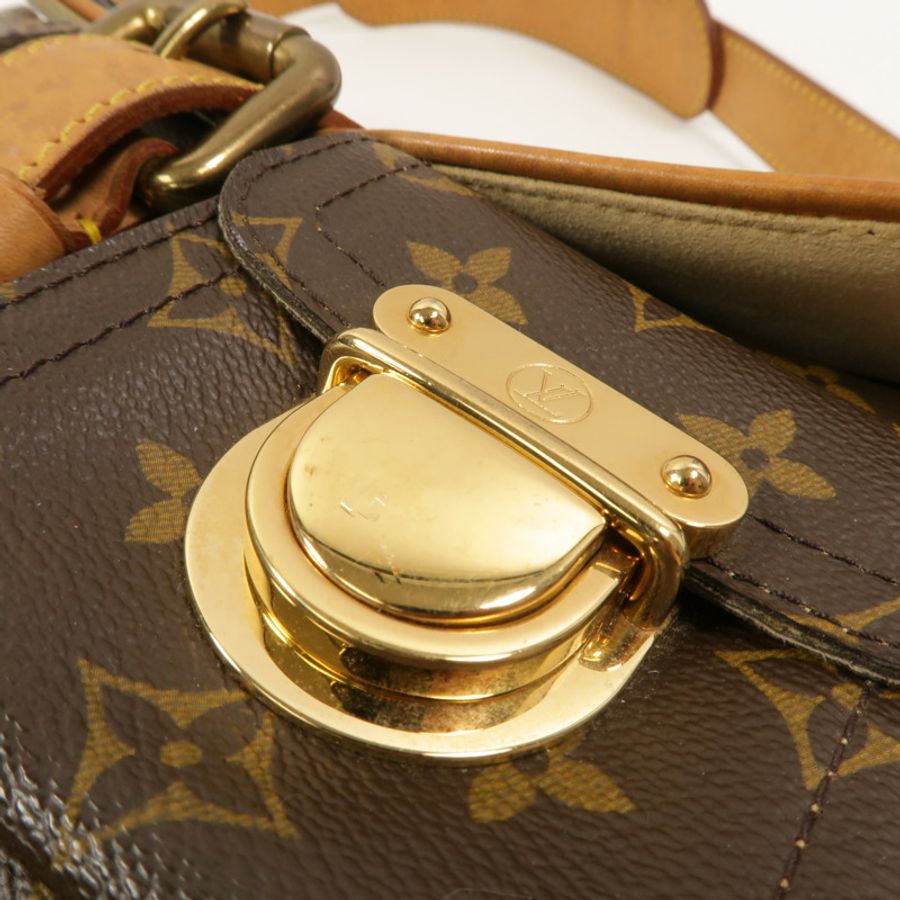 LOUIS VUITTON Monogram Hudson PM肩背袋-16