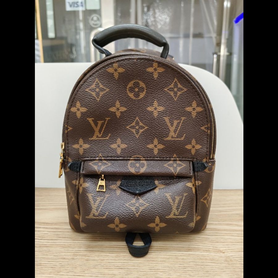 Lv mini Palm Springs backpack-1