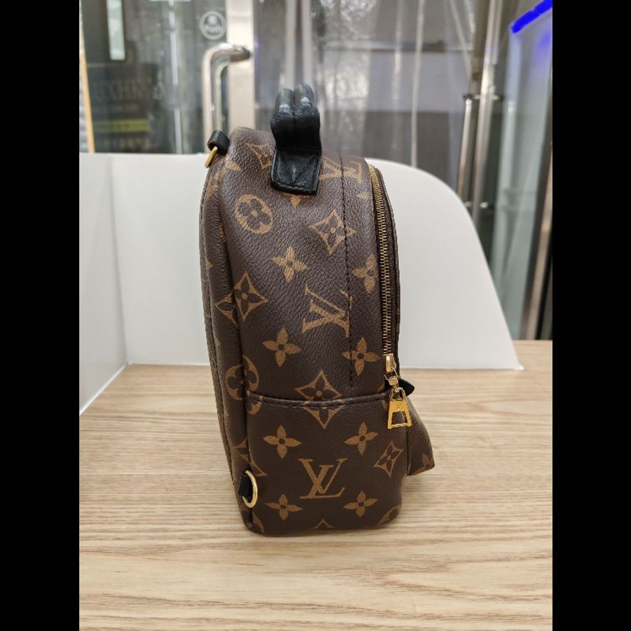 Lv mini Palm Springs backpack-3