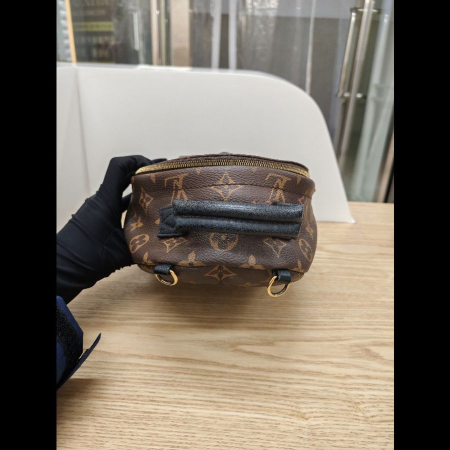 Lv mini Palm Springs backpack-5
