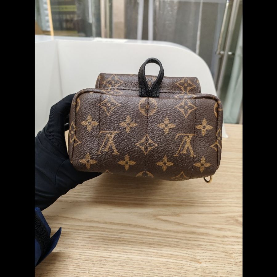 Lv mini Palm Springs backpack-6