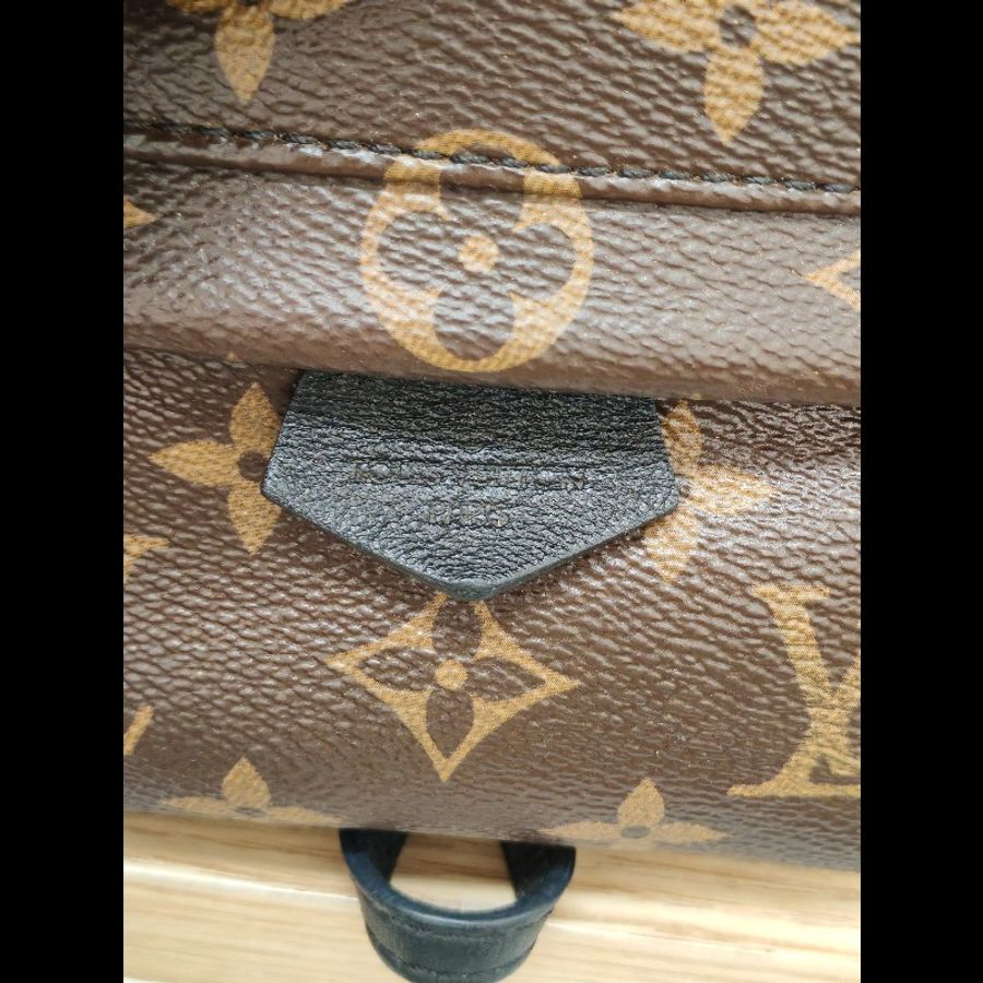 Lv mini Palm Springs backpack-13