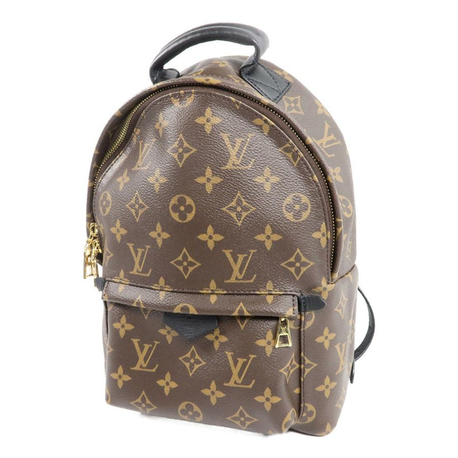 LOUIS VUITTON Monogram Palm Springs PM背包-2