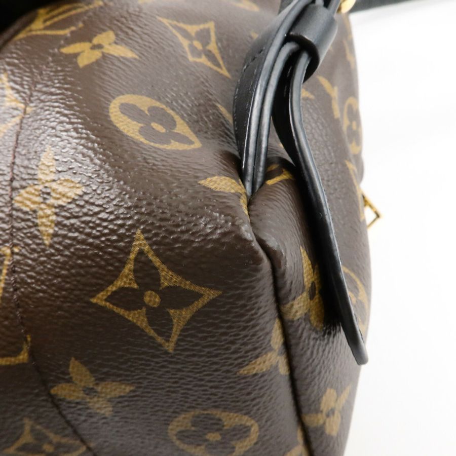 LOUIS VUITTON Monogram Palm Springs PM背包-11