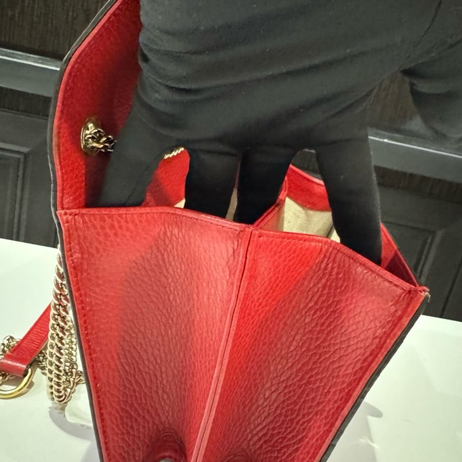 古馳Gucci風琴包023 包身護理-10