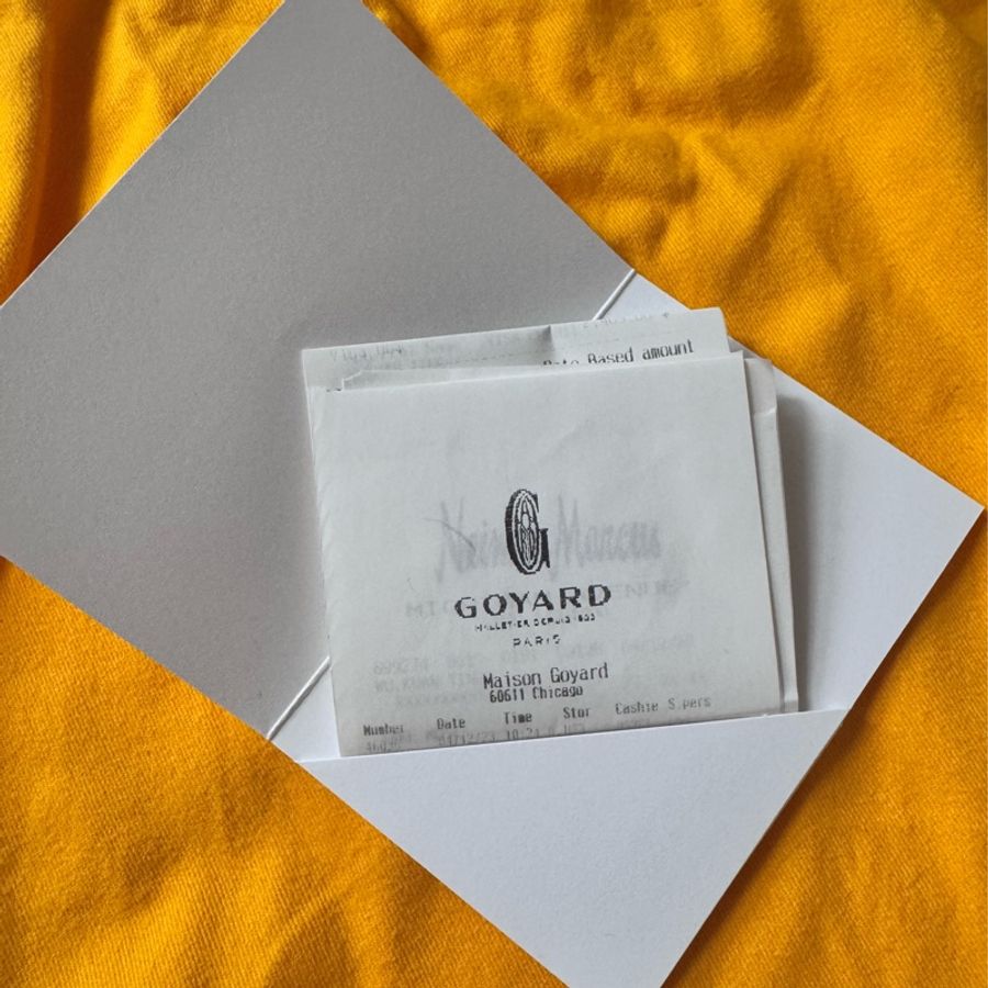 Goyard Cap-Vert相機包-9