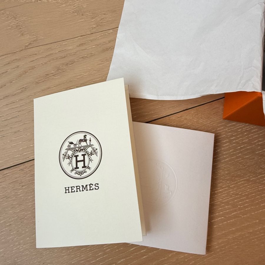 Hermes Mini Evelyne-4