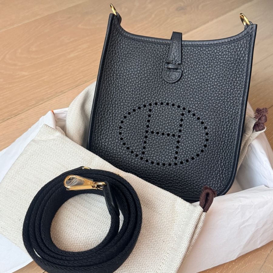 Hermes Mini Evelyne-5