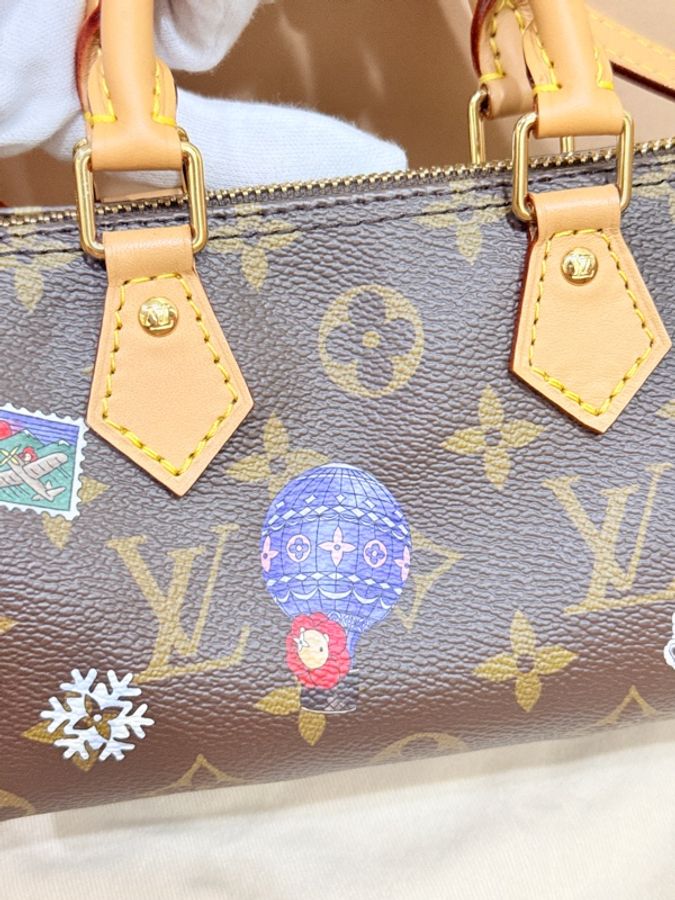 私物超賠售🔥超甜價格🙌🏻 LV nano speedy芯片款❄️2025年限定款M15330💫官網8萬1買不到了-24