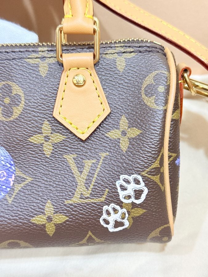 私物超賠售🔥超甜價格🙌🏻 LV nano speedy芯片款❄️2025年限定款M15330💫官網8萬1買不到了-25