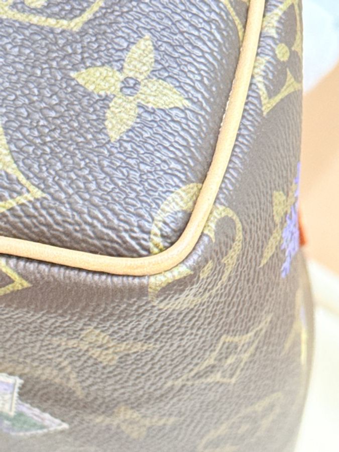 私物超賠售🔥超甜價格🙌🏻 LV nano speedy芯片款❄️2025年限定款M15330💫官網8萬1買不到了-29