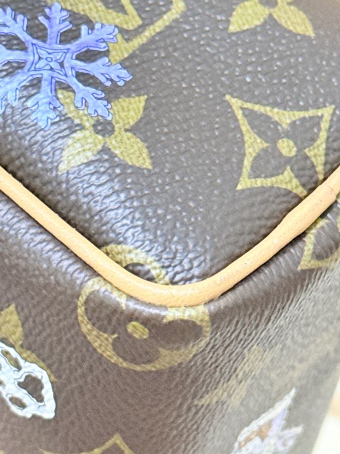 私物超賠售🔥超甜價格🙌🏻 LV nano speedy芯片款❄️2025年限定款M15330💫官網8萬1買不到了-31