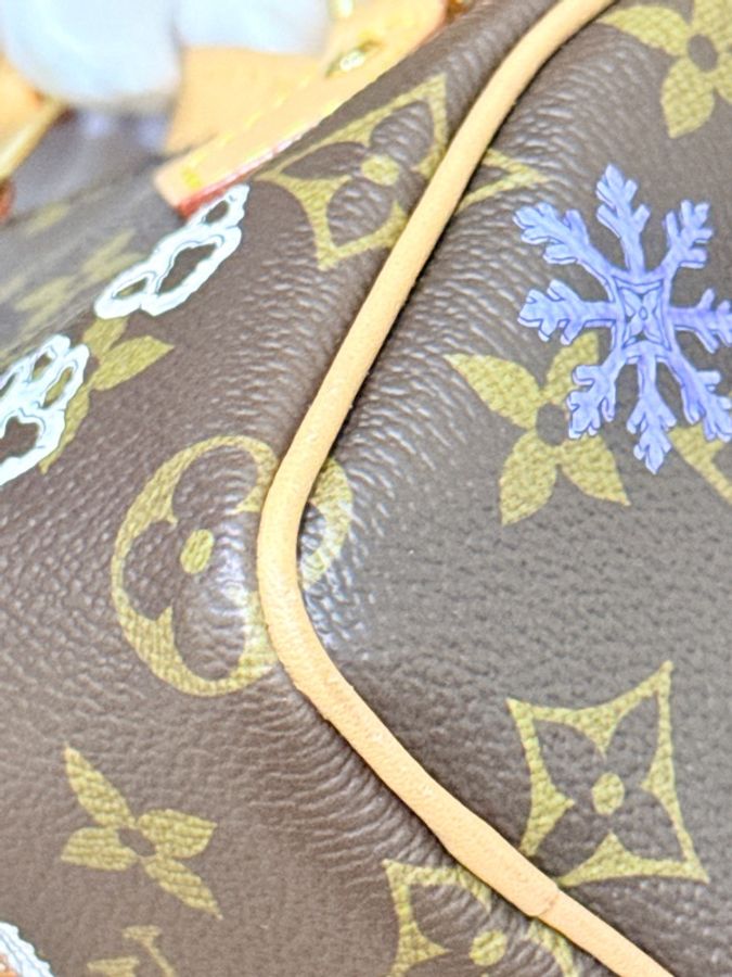 私物超賠售🔥超甜價格🙌🏻 LV nano speedy芯片款❄️2025年限定款M15330💫官網8萬1買不到了-43