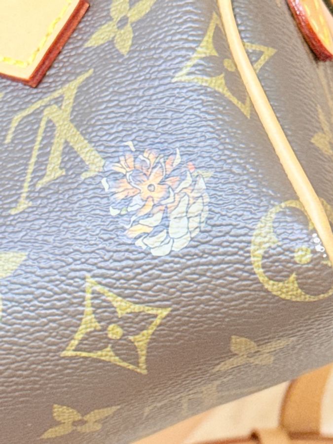 私物超賠售🔥超甜價格🙌🏻 LV nano speedy芯片款❄️2025年限定款M15330💫官網8萬1買不到了-44