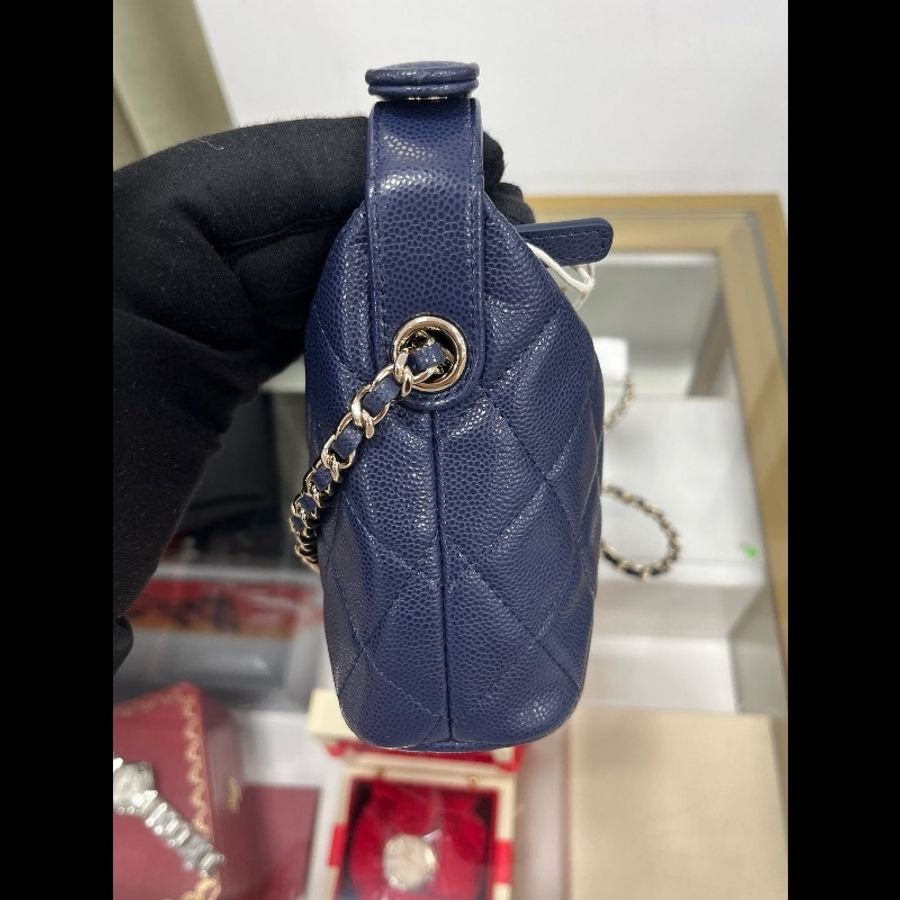 Chanel25A Hobo-17