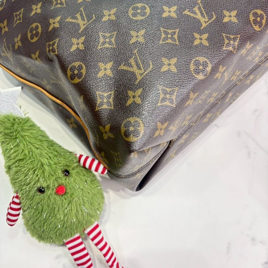 LV Sully MM老花帆布手提肩背包-8