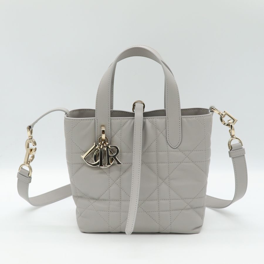 Dior Toujours 石灰色 小牛皮 小型 手提托特包 肩背包-1